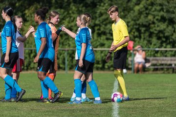 Bild 24 - wBJ VfL Pinneberg - Hamburger SV 2 : Ergebnis: 1:3